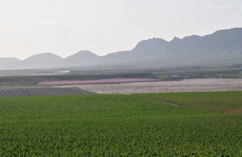 Understanding water and the drought in Murcia and the Segura basin