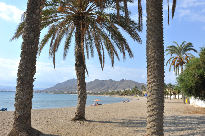 Where is the Condado de Alhama Golf Resort?