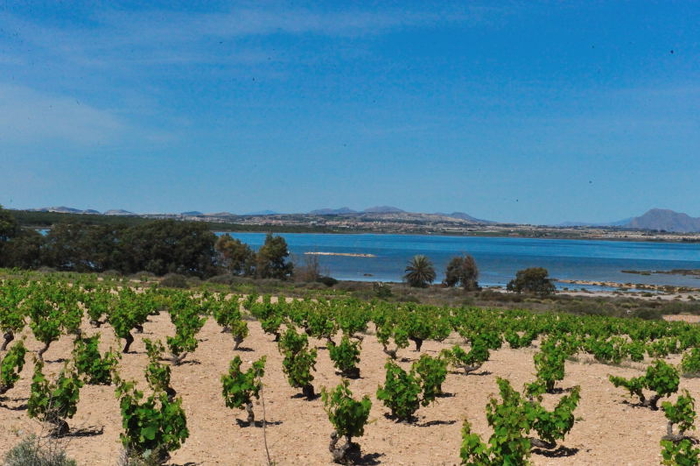 Natural park of Las Lagunas de La Mata -Torrevieja