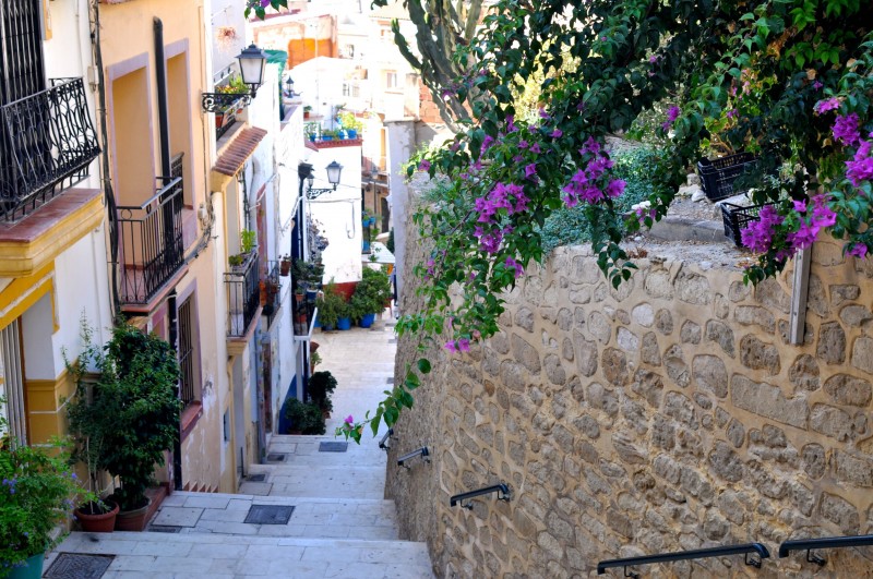 Morning out in Alicante route 2: El Parque de La Ereta and El Barrio de Santa Cruz