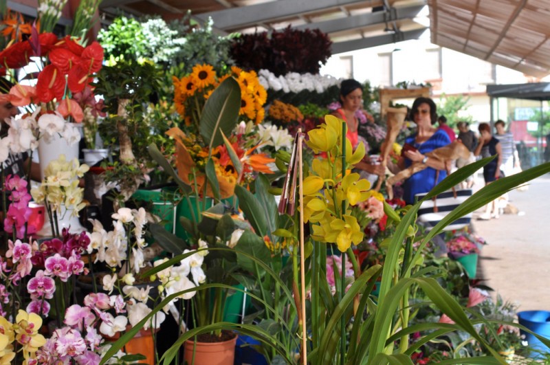 November 1 All Saints Day or El Dia de Todos los Santos in Alicante City