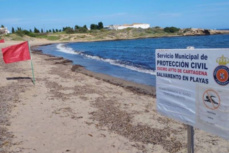 Cartagena beach closed again for poor water quality