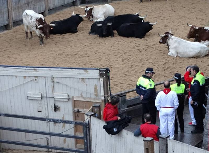 Tourist seriously injured after being gored by bull at Alicante festival
