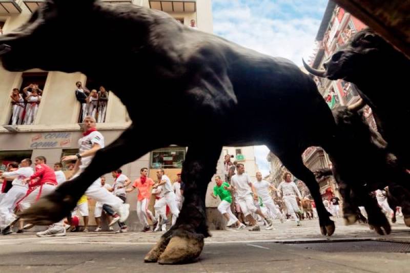 Discover San Fermin, the famous Running of the Bulls festival in Pamplona, Spain