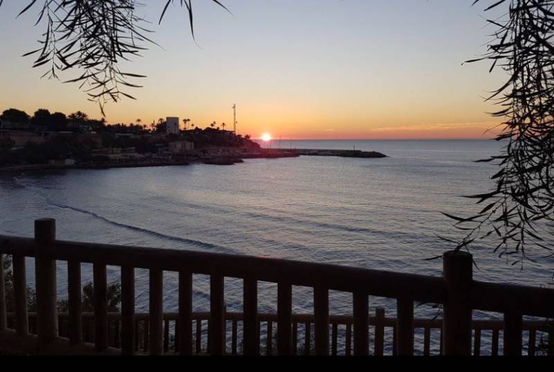 New neighbourhood group demands action for Campoamor