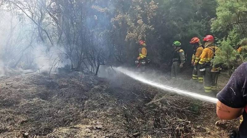 First forest fire of the summer: 1,600 square metres of vegetation burn in Albudeite, Murcia