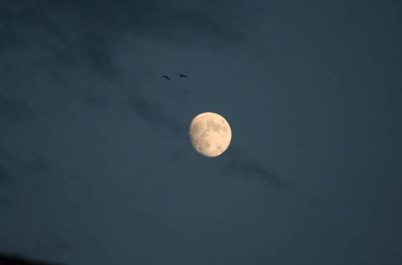 Spain's summer skies offer perfect views of planets and meteor showers this July