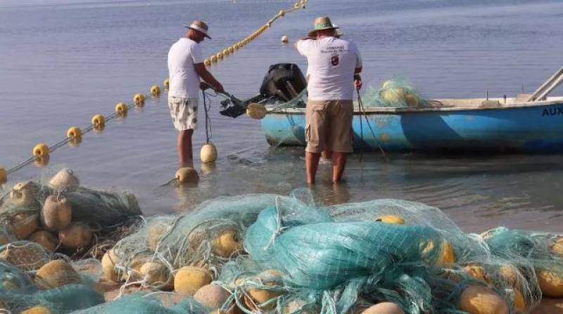 Jellyfish nets will be installed at these four Mar Menor beaches this summer
