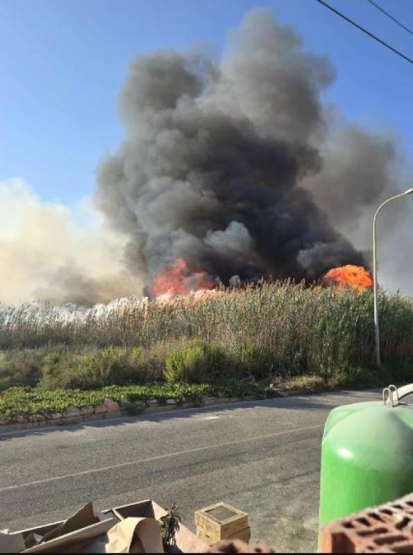 WATCH: Wildfire at Torrevieja lagoon spreads frighteningly close to homes