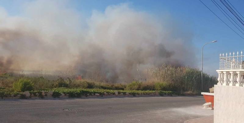WATCH: Wildfire at Torrevieja lagoon spreads frighteningly close to homes