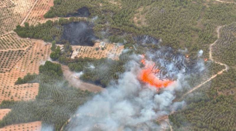 WATCH: Lightning sparks multiple wildfires in Murcia
