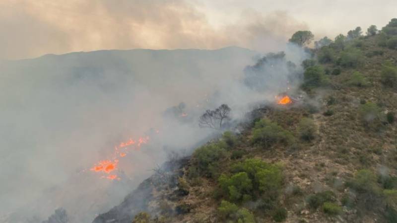 WATCH: Lightning sparks multiple wildfires in Murcia