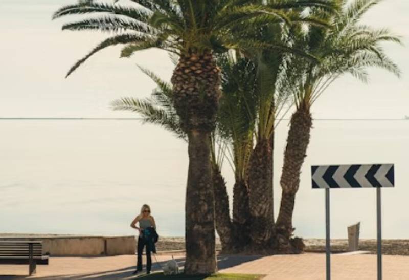 It's nearly December but San Javier is already tackling summer heat in La Manga