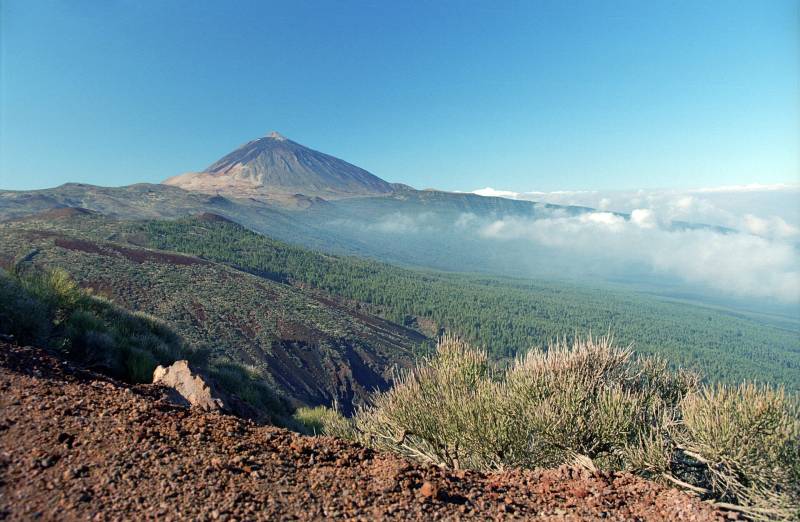 Nearly 90 tremors recorded beneath Mount Teide in three days: unusual seismic signal detected