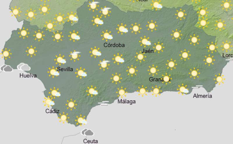 Andalucía weekly weather forecast Feb 23-26: Sunshine, gentle breezes and springlike warmth