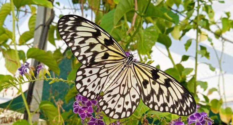 Taquilla Tickets has a brilliant spring line-up of trips and days out across Spain this April and May