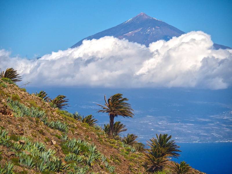 Why Tenerife keeps British holidaymakers coming back year after year