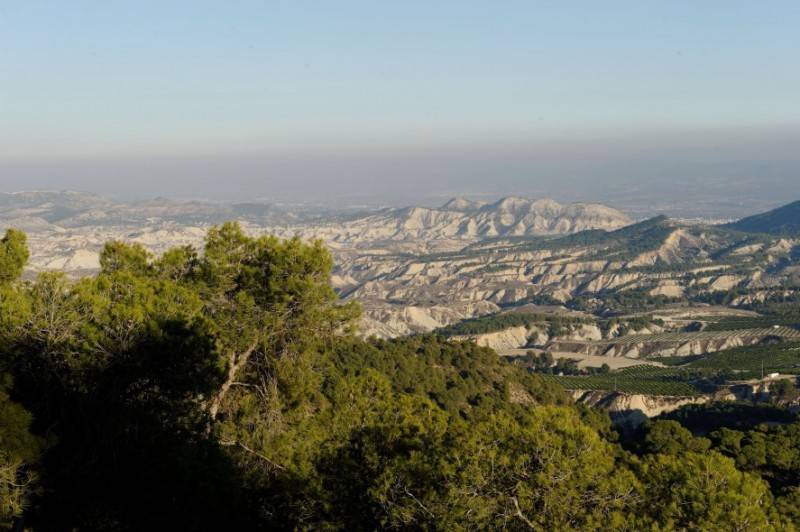 June 13 Free guided tour in Spanish of El Berro in Sierra Espuña