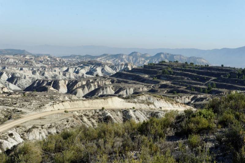 June 20 Free guided tour in Spanish of Gebas in the mountains of Sierra Espuña