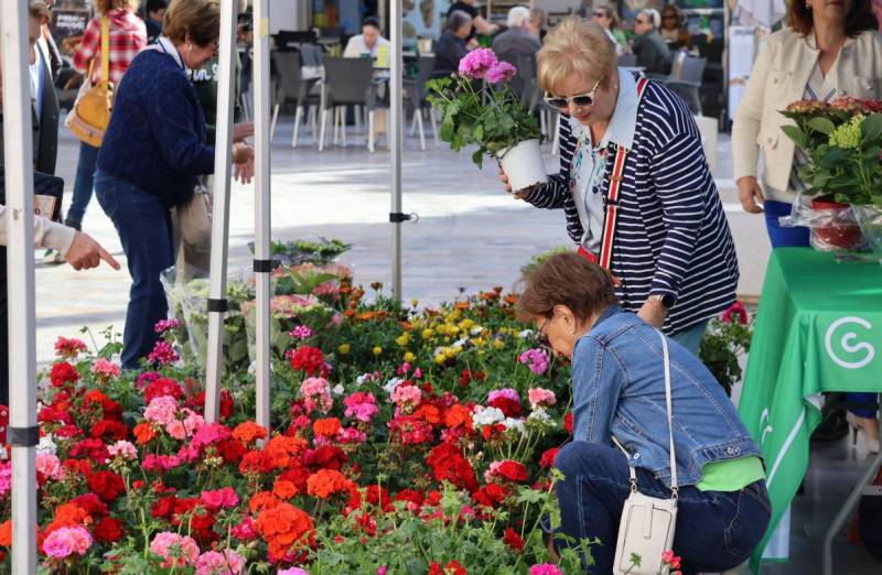 San Pedro del Pinatar sells potted plants to support cancer charity