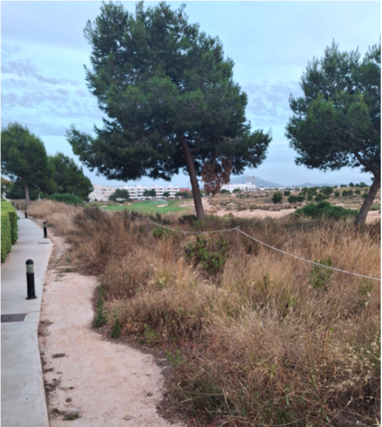 Condado de Alhama residents warned of high wildfire risk