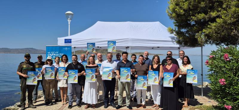 Mar Menor now shelters one of the Mediterranean's most endangered species