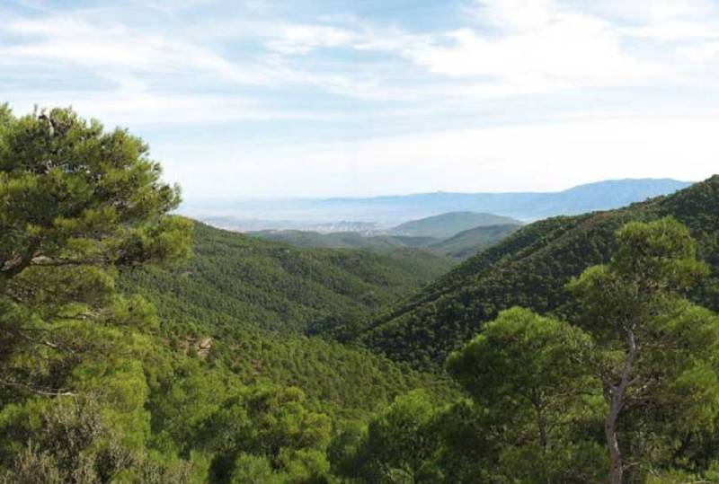 The PR-MU 59 walking route in Sierra Espuña, the Sendero de la Umbría de Peña Apartada