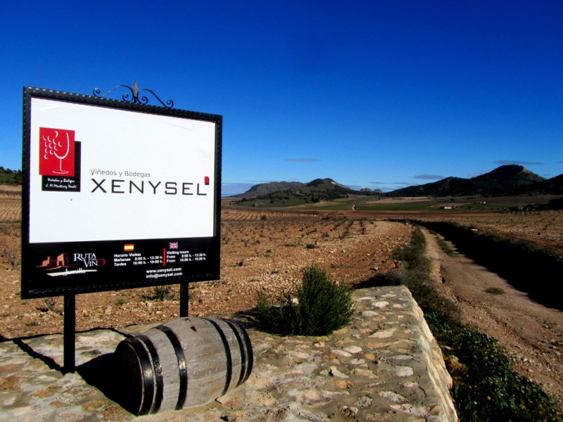 Jumilla wine route, Bodega Xenysel