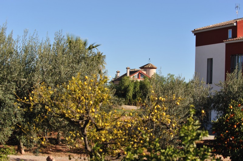 Outlying districts of Totana: Mortí and La Huerta