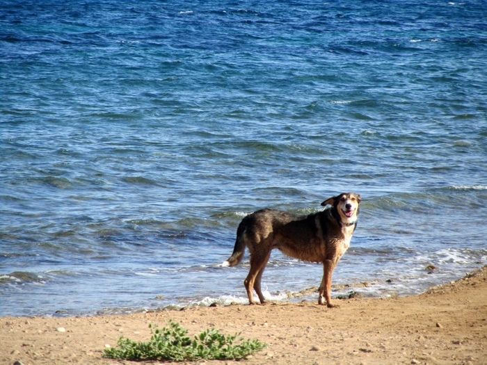 An overview of the beaches of Mazarron