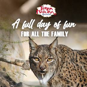 Terra Natura Waterpark