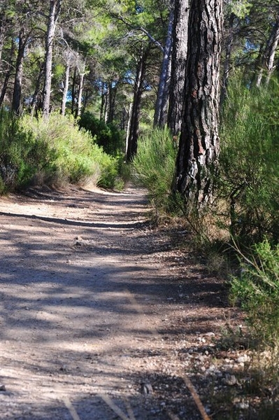 Sierra Espuna