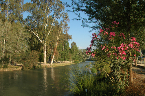 Abarán